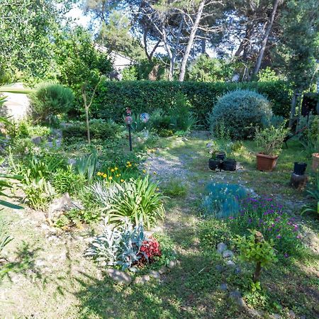 Spacious Holiday Home In Molat With Pool Brgulje Zewnętrze zdjęcie