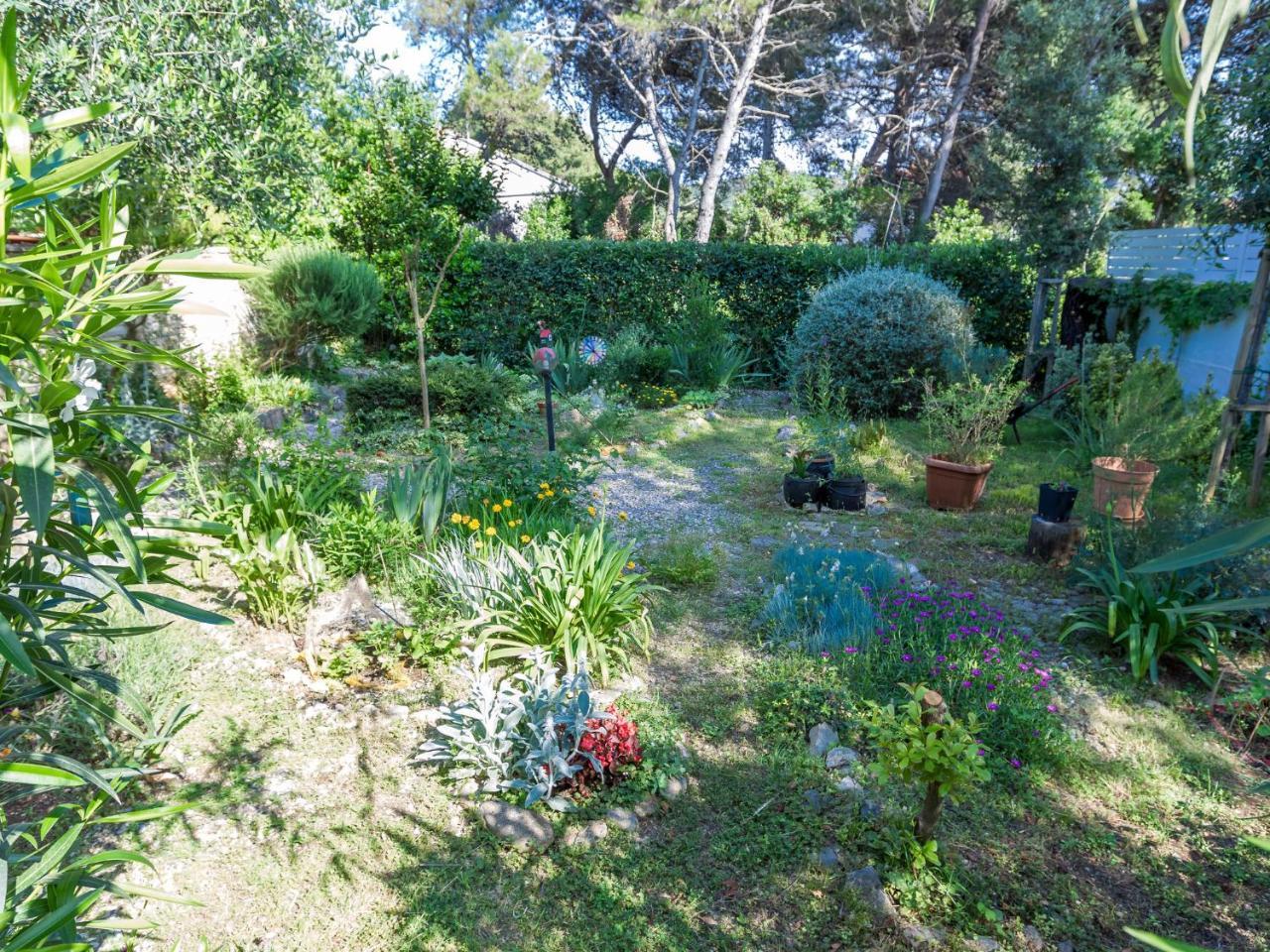Spacious Holiday Home In Molat With Pool Brgulje Zewnętrze zdjęcie